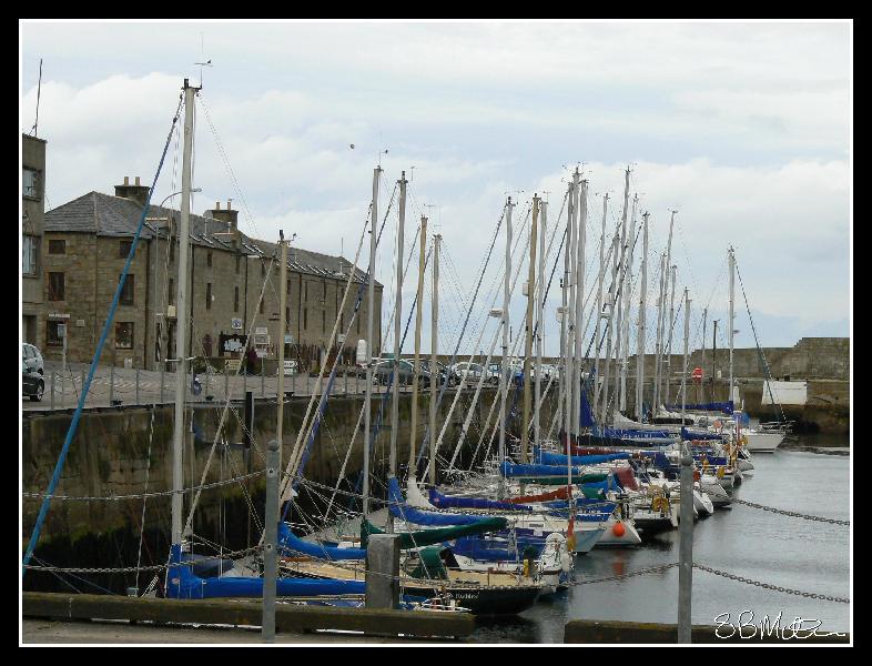 Yachts: Photograph by Steve Milner